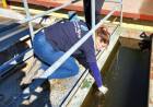 Fiscalizan las plantas potabilizadoras de Luján y Potrero