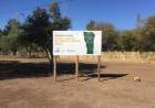 QUINES: el Vivero Forestal recibió un lote de casuarinas 