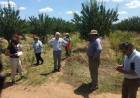 Buenas Prácticas Agrícolas en San Luis