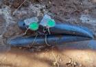 Agua cruda: anulan dos conexiones clandestinas
