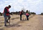 SAN MARTÍN: comenzó la forestación en la cuenca hídrica