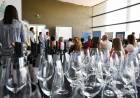 La vitivinicultura en San Luis toma fuerza