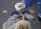 CORONAVIRUS: LOS CASOS SE TRIPLICARON EN MENOS DE 7 DÍAS
