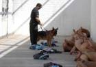 La obscenidad del poggismo de hablar de inseguridad, frente a sus desastre 2011-2015.Paro Policial,abusos,desapariciones,incendios con muertos y tasa máximas de homicidios.Hoy adalides de la exasperación de hechos  que ellos tapaban.