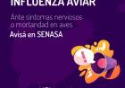 GRIPE AVIAR: COORDINAN ACCIONES DE ALERTA Y PREVENCIÓN
