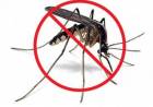CONFIRMARON OTROS CINCO CASOS DE DENGUE EN SAN LUIS
