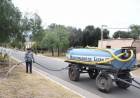 LUJÁN: trabajan para recuperar la producción de naranjas