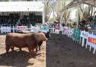  PROGRAMA DEFINITIVO DE LA 92º EXPO RURAL RÍO QUINTO