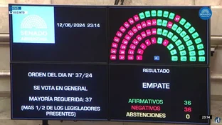 Se aprobó con desempate por Villarroel,  la Ley Bases en General 