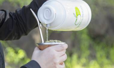 La IARC declara que el mate no es cancerígeno
