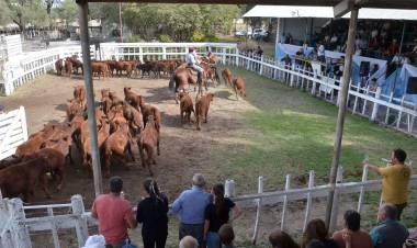 Rural Río Quinto: remate con valores muy altos 