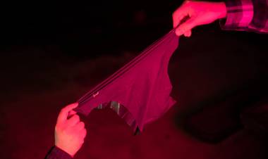 EE.UU: ¿Ropa interior contra enfermedades sexuales?