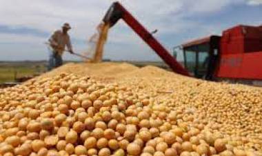 La recolección de la soja en San Luis ya cubrió el 100%