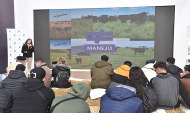 Las pasturas están produciendo al 50%