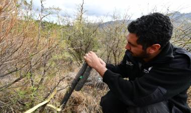 PISCU YACO: suspendieron una conexión clandestina