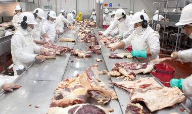 Acordaron la implementación del troceo en la Argentina