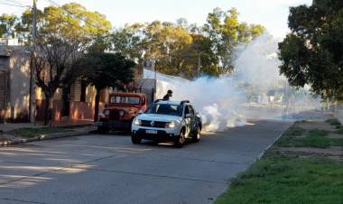 Campaña de fumigación nocturna en la ciudad capital