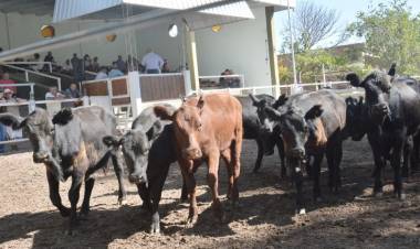 PRIMER REMATE DE MARZO DE SAN LUIS FERIA