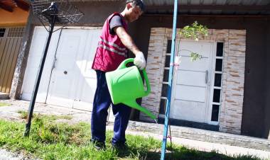 Más de 13.000 árboles plantados en la ciudad de San Luis