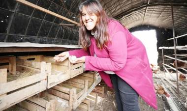 V. DE LA QUEBRADA: huevos  bajo principios agroecológicos