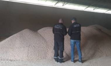 LA AFIP INCAUTÓ EN SAN LUIS 640 TONELADAS DE GRANOS 