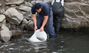 LUJÁN: San Luis Agua sembró pejerreyes en el Dique 