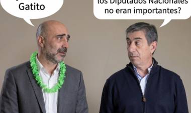 Gato: Poggi hizo votar Legisladores para Milei  porque no eran importantes y ahora a través de Trombotto se nota arrepentido.Hagamos una reunión y le pedimos a Milei lo de lo de biocombustibles y zona fría 