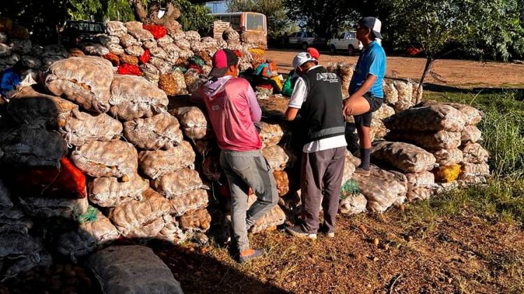Operativos AFIP: explotación laboral en campos de papa