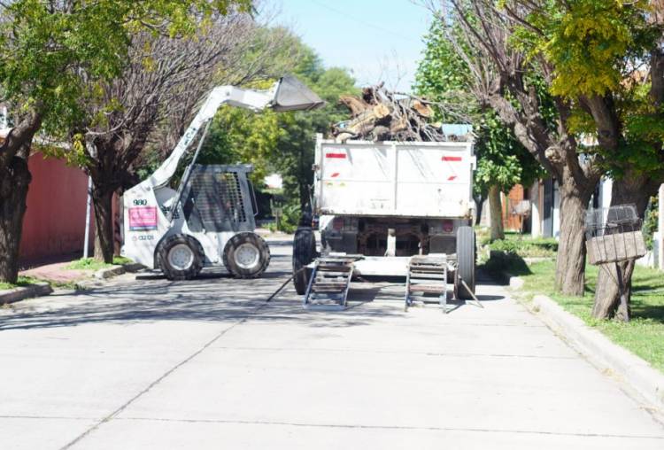 Ciudad de San Luis: a full con el plan de reforestación