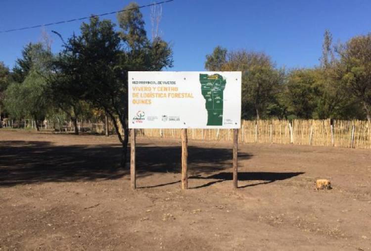 QUINES: el Vivero Forestal recibió un lote de casuarinas 