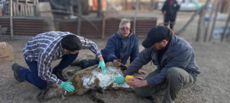 EL TRAPICHE: acciones del SENASA a favor de la comunidad