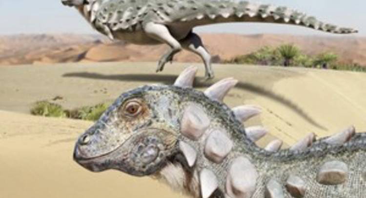 Presentaron a Jakapil, el nuevo dinosaurio acorazado descubierto en Río Negro