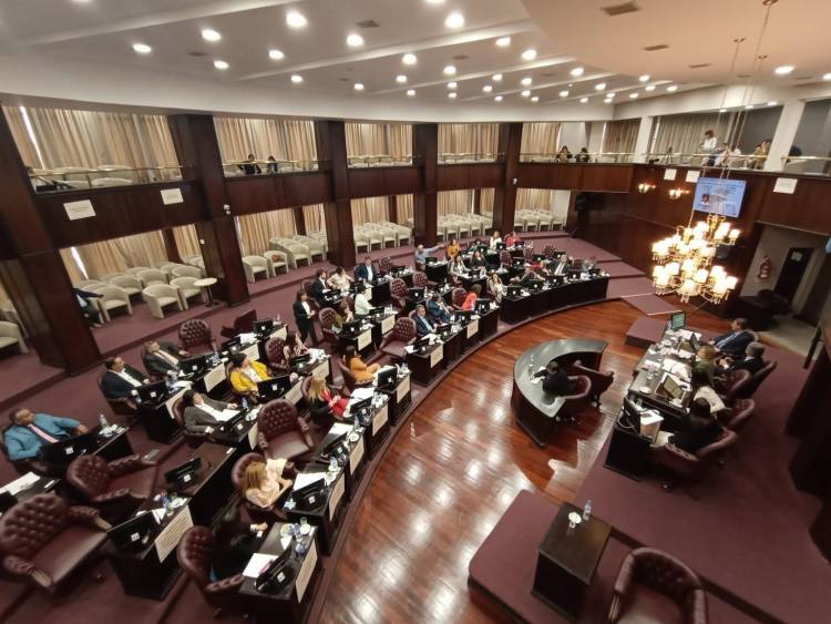 PRESUPUESTO 2023: DIPUTADOS DIO MEDIA SANCIÓN 
