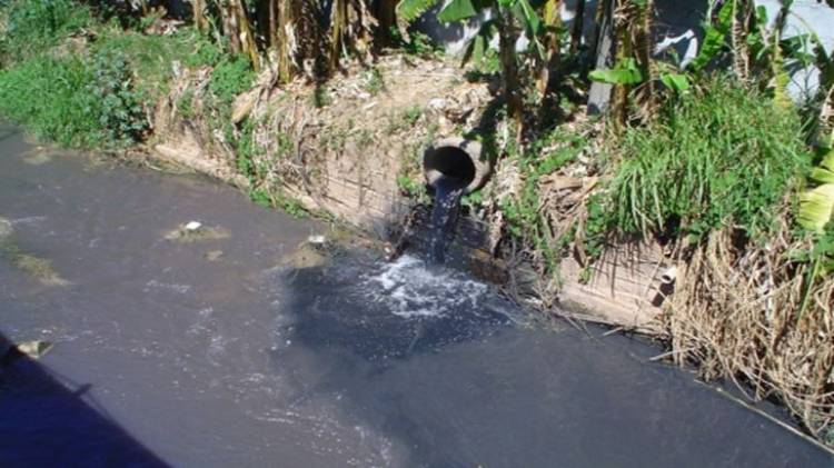 Un proyecto que ayudará a la industria y al medio ambiente