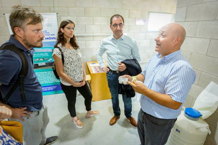 Estimulan la formación de cluster caprino con inseminación