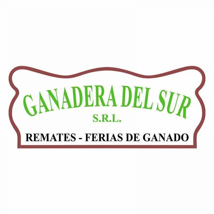 Subastaron 1.050 cabezas con subas en todas las categorías