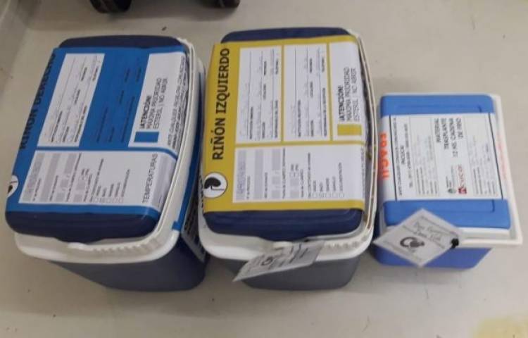 San Luis mejoró su tasa de donantes de órganos y tejidos