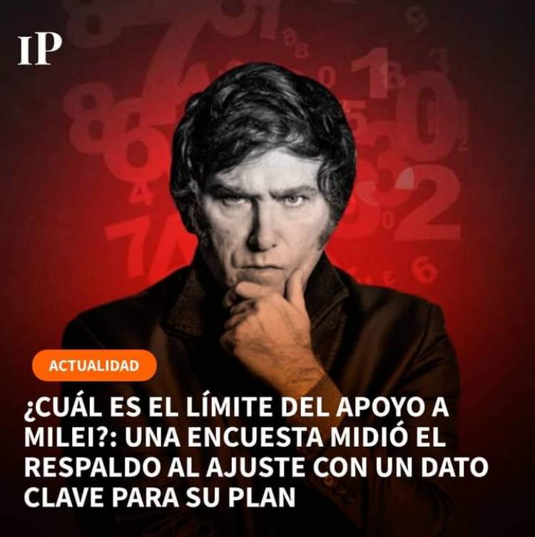 Una encuesta revela cuanto tiempo la gente, banca el ajuste de MILEI