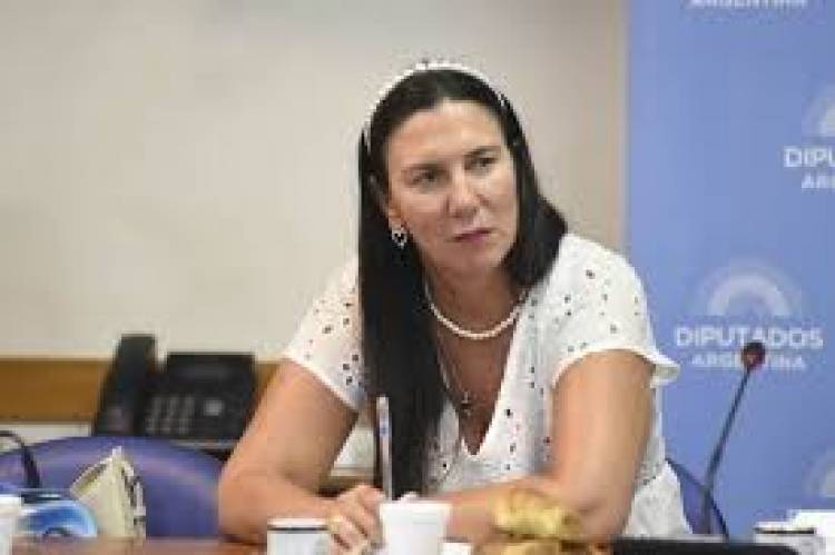 Bachey:el Gobierno de Poggi no arranca "