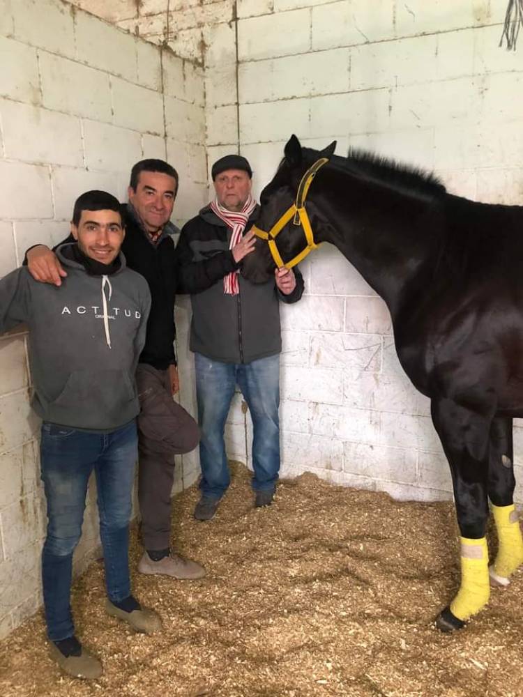 Colifato Novo, el Crack de Carrera que pinta para estrella, criado en Villa Mercedes y gana en todos lados. Es el futuro estrella. Ya ganó Especial de Juveniles en San Isidro.