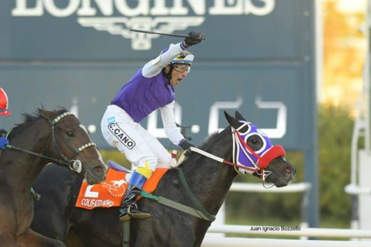 Colifato Novo, el Crack de Carrera que pinta para estrella, criado en Villa Mercedes y gana en todos lados. Es el futuro estrella. Ya ganó Especial de Juveniles en San Isidro.