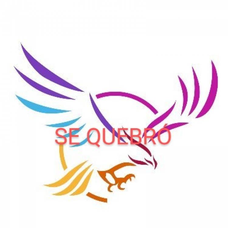Se partieron los Libertarios. Tendrá dos Frentes . Flecha por un lado y Negri por otro