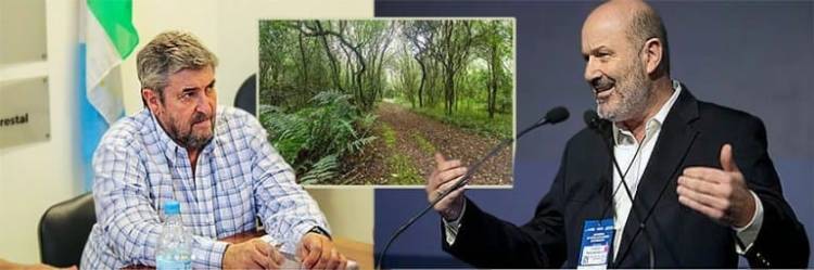 Piden a Sturzenegger que derogue la Ley de Bosques. Que sean las Provincias quienes ordenen el territorio en virtud del art. 124 de la CN.Caso fallo Municipio de Merlo 