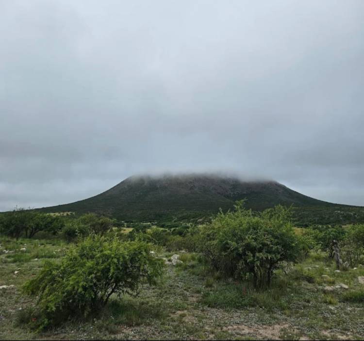 La Toma rodeada de volcanes: Irina Bullich y Fozza.Google los pone en evidencia .Impresiona verlos desde el satélite con sus cráteres y de vista